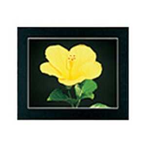 フジカラー マットパネルDX (ワイド4切) ブラック マットパネルDX(W4ツ