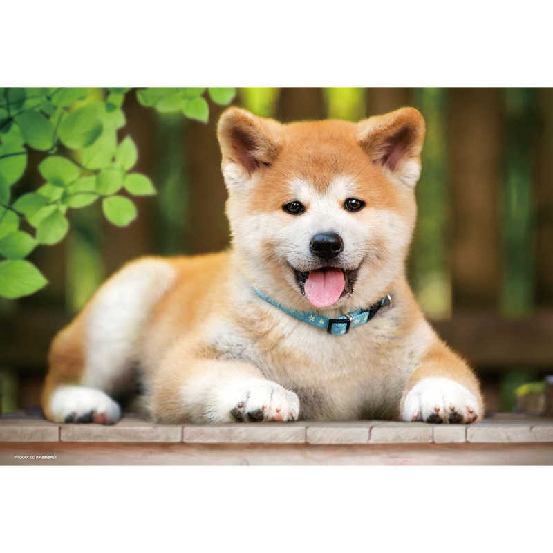 ビバリー ジグソーパズル P33 162 ここにおいでよ 秋田犬 の通販 カテゴリ おもちゃ ビバリー 家電通販のコジマネット 全品代引き手数料無料 ビバリー ジグソーパズル P33 162 ここにおいでよ 秋田犬 の通販 カテゴリ おもちゃ ビバリー 家電通販のコジマネット 全品代引き手数料無料