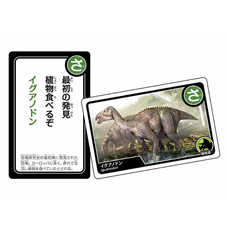 ビバリー ビバリー 恐竜カルタ TRA-066 TRA-066