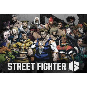 ro[ 1000-116 Xg[gt@C^[6 (2)