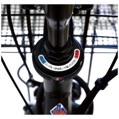 ブリヂストン 電動アシスト自転車 カジュナe cajuna e E.Xグレイッシュ 