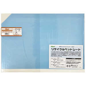 光 リサイクルペットシート 透明 300×450×0.6mm RPT40361 光 リサイクルペットシート 透明 300×450×0.6mm RPT40361