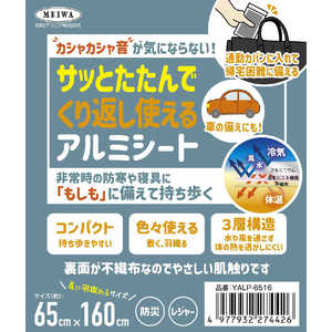 ¥ӥ 餫ߥ YALP6516