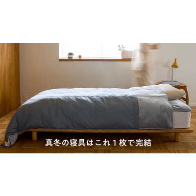 モリリン コスモダウン掛けふとん プラチナシルバー ［シングル(150