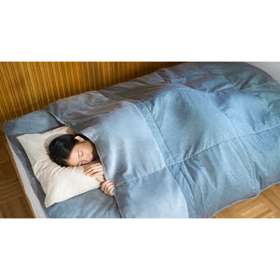 モリリン コスモダウン掛けふとん プラチナシルバー ［シングル(150