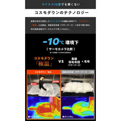 モリリン コスモダウン掛けふとん プラチナシルバー ［ダブル(190