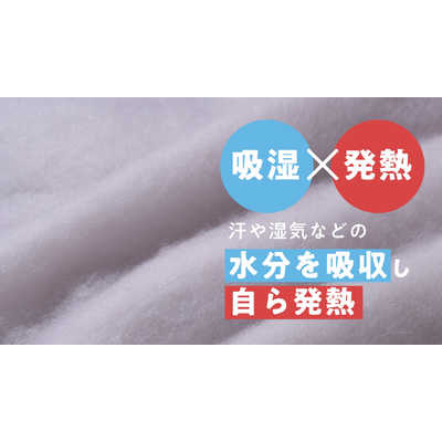 モリリン コスモダウン掛けふとん プラチナシルバー ［ダブル(190