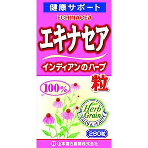 山本漢方 エキナセア粒100%280T 山本漢方 エキナセア粒100%280T