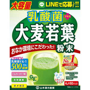 山本漢方 乳酸菌大麦若葉大容量4g×60H 山本漢方 乳酸菌大麦若葉大容量4g×60H