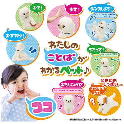 セガトイズ ココさかだちして Premium ポメラニアン の通販