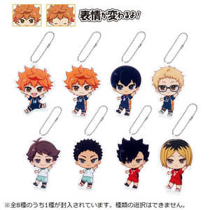 ZKgCY ANh[mini nCL[II(Pi)