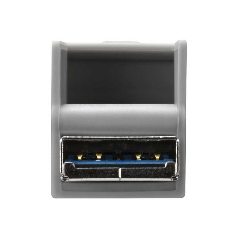 BUFFALO USB3.2(Gen1)TypeC-A対応USBメモリ 16GB RUF3-AC16G-GY グレｰ の通販 | カテゴリ