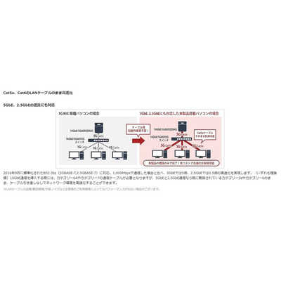 BUFFALO 10GbE対応PCI Expressバス用LANボード LGY-PCIE-MG2 の