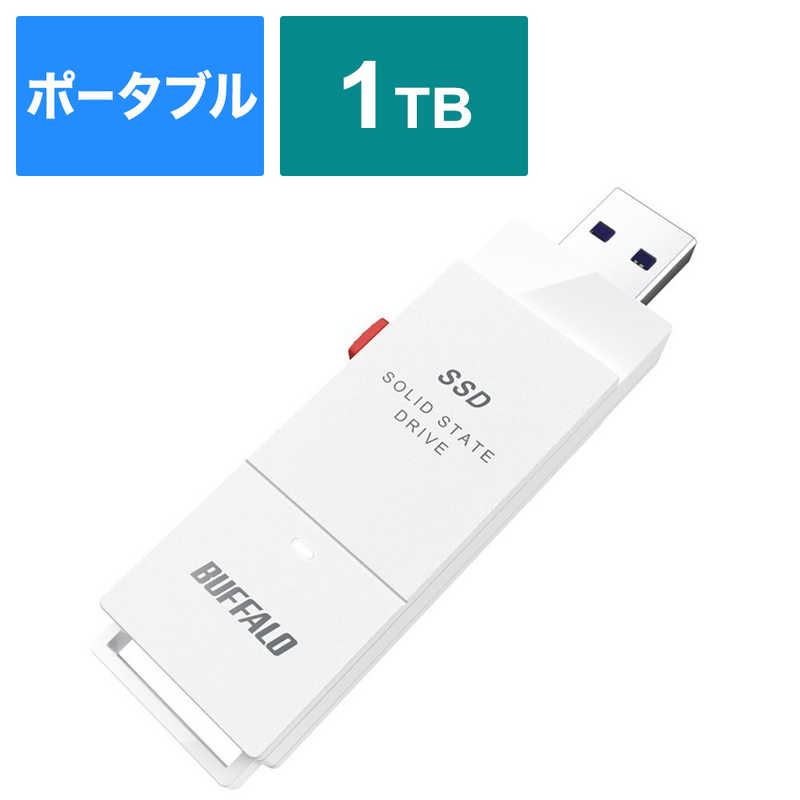 BUFFALO BUFFALO SSD-SCT1.0U3-WA PC対応 USB3.2(Gen2)　TV録画 スティック型 TypeC付属 SSD-SCT1.0U3-WA SSD-SCT1.0U3-WA