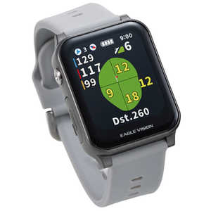 EAGLE VISION AX EV-539 [�O���[]