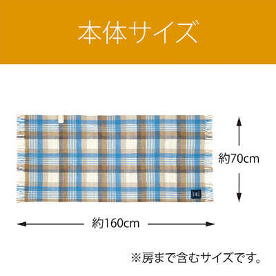 コイズミ KOIZUMI 電気ひざかけ/KDHM483 KDH-M483 MOONコラボ チェック