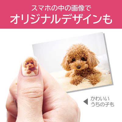KOIZUMI ネイルプリンター プリネイル ネイルプリンター　PriNail デジタルネイルプリンター PriNail(プリネイル) KNP-N800/P