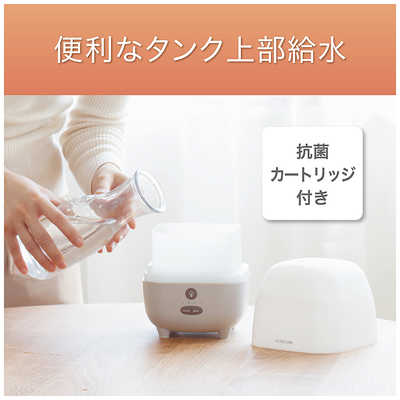 プチパンプキン加湿器 プチパンプキン加湿器 プチパンプキン加湿器 ≪OUTLET≫ちょこんと加湿