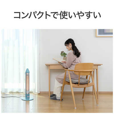 コイズミ KOIZUMI 遠赤電気ストーブ 600W グラファイトヒーター サクラ