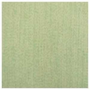 青木 2枚組 遮光カーテン クレア(100×200cm/グリーン) 