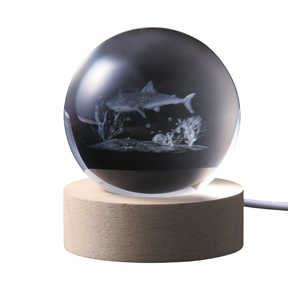 CVO 3DNX^{[ LEDCg T mLED / dFn 18044