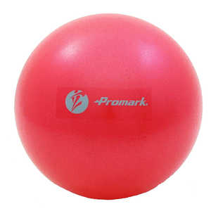 PROMARK Promark×立花龍司コラボ ジムボール (レベル2/レッド) TPT0282