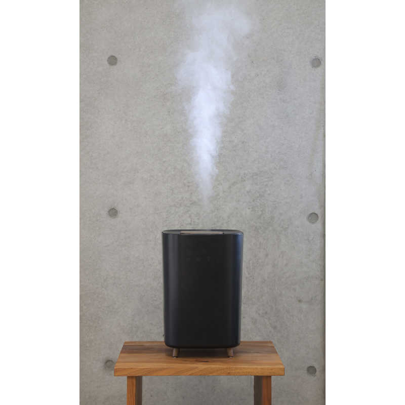 エレス エレス 加湿器 LsHumidifier(エルズヒュミディファイアー) ブラック [ハイブリッド(加熱+超音波)式] LSHUMIDIFIER LSHUMIDIFIER
