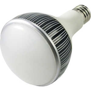 鯛勝産業 タイカツ LED投光器 替ランプ 口金E39 TK-LED450N