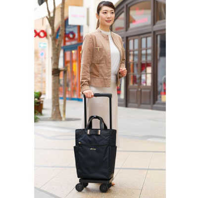 スワニー D-640 ルバンド お買い物キャリー Lサイズ ルバンド グレー