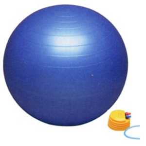 秦運動具工業 バランスボール セイフティー(ブルー/φ55cm)｢ポンプ付｣ DB55P