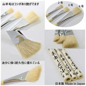 ^P_ M v Rr 2 70-5160