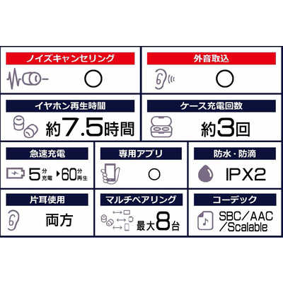 GALAXY フルワイヤレスイヤホン Buds2 SM-R177NZKAXJP