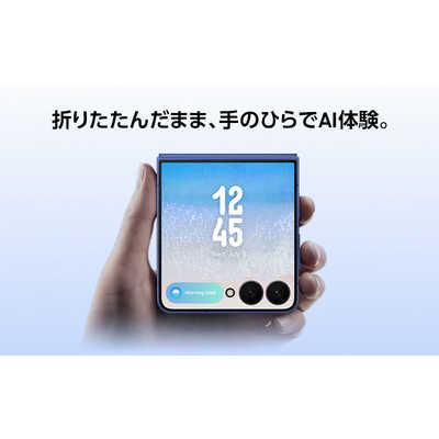 SAMSUNG - みっこさん専用 SAMSUNG Galaxy Z Flip6 5G Dual-SIM(Nano+eSIM) SM-F741 256GB