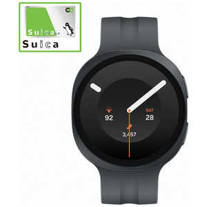 SAMSUNG Galaxy Watch9 LTE 44mm/Graphite SML355FZKJSJP