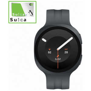 SAMSUNG Galaxy Watch9 LTE 40mm/Graphite SML345FZKJSJP