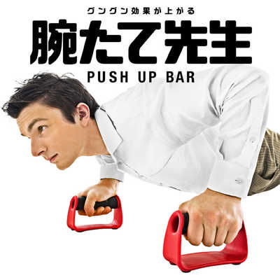 プッシュアップバー(コンテスト用)(即納可能) プッシュアップバー