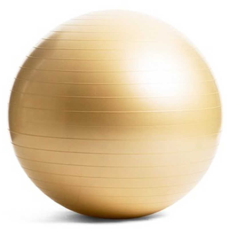 LAVIE LAVIE ノンバーストバランスボール(65cm シャンパンゴールド)   