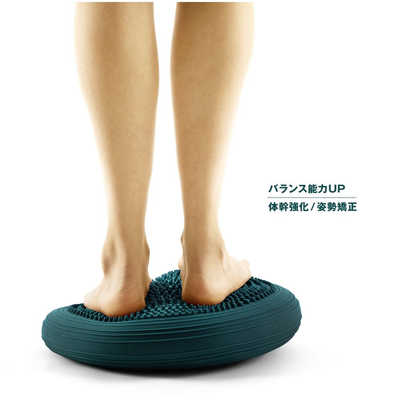 美品】ジムテリア シェイプディスク ディープブルー シェイプディスク