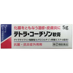 伊丹製薬 【第（2）類医薬品】テトラコーチゾン軟膏 5g 指2類× テトラコーチゾンナンコウ5G