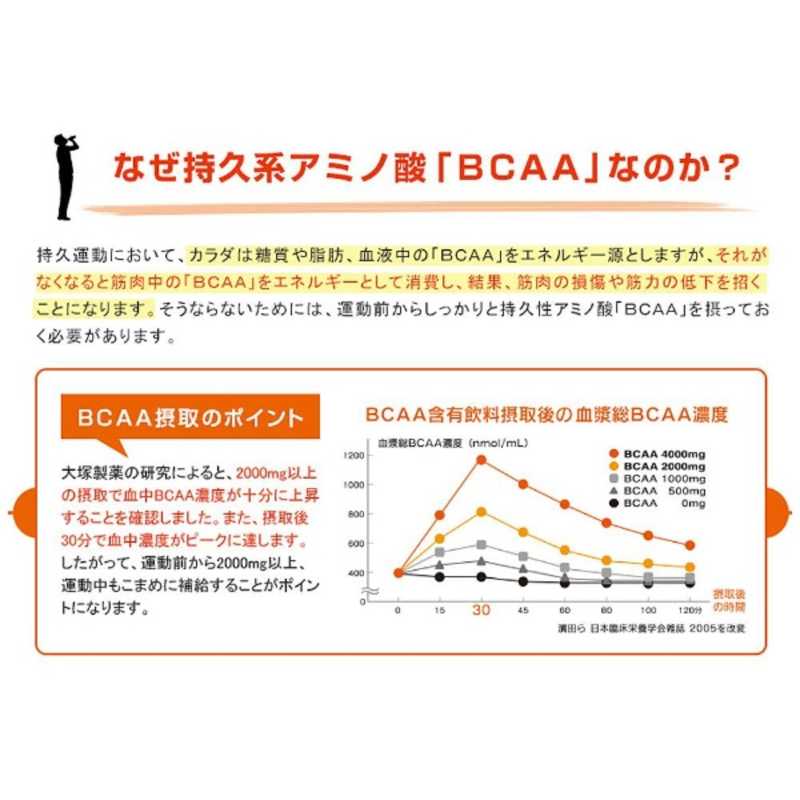 大塚製薬 大塚製薬 アミノバリュー サプリメントスタイル｢グレープフルーツ風味/4.5g×10袋｣  