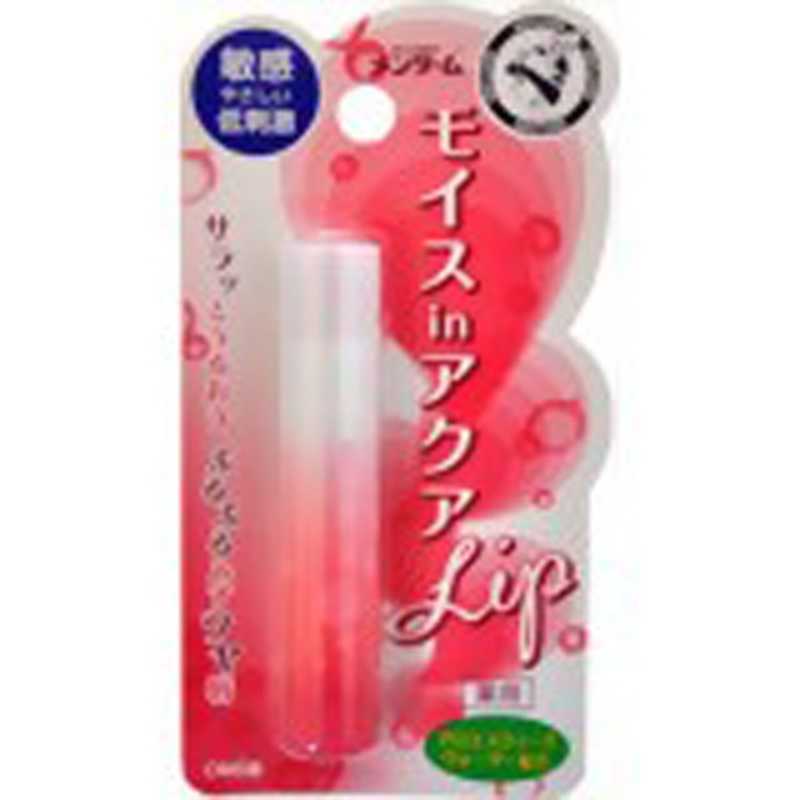 近江兄弟社 メンターム モイスinアクアリップ敏感 4g の通販 カテゴリ 日用品 化粧品 医薬品 近江兄弟社 家電通販のコジマネット 全品代引き手数料無料