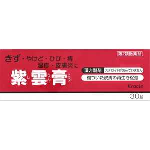 【第2類医薬品】 クラシエ紫雲膏(30g) クラシエシウンコウ30G