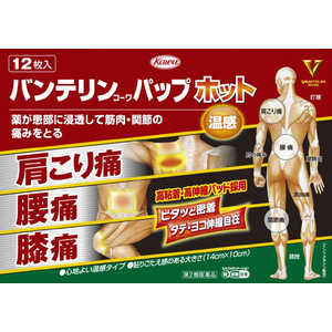 KOWA 【第2類医薬品】バンテリンコーワパップホット (12枚) ★セルフメディケーション税制対象商品 KOWA 【第2類医薬品】バンテリンコーワパップホット (12枚) ★セルフメディケーション税制対象商品