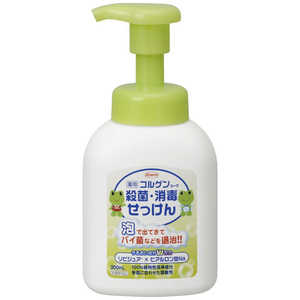 KOWA 興和 コルゲン 殺菌・消毒せっけん 300ml 12934 KOWA 興和 コルゲン 殺菌・消毒せっけん 300ml 12934