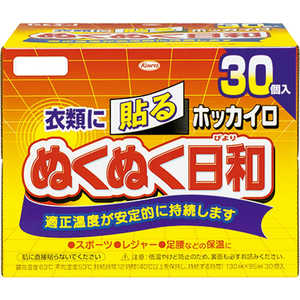 KOWA ホッカイロ ぬくぬく日和 貼るタイプ レギュラー (30個入) 