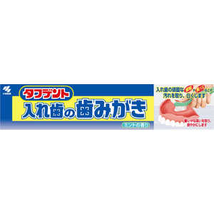 小林製薬 タフデント入れ歯の歯みがき 95g