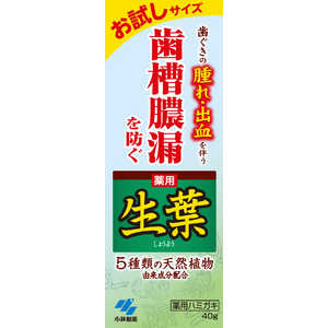 小林製薬 生葉 生葉dお試しサイズ 40g 