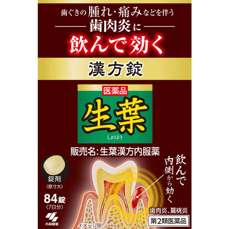 小林製薬 小林製薬 【第2類医薬品】 生葉錠(84錠)  