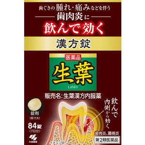 小林製薬 【第2類医薬品】 生葉錠(84錠) 