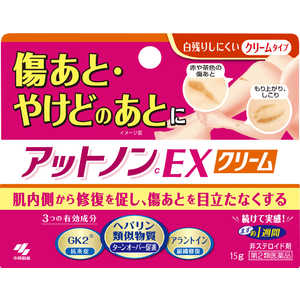 小林製薬 【第2類医薬品】 アットノンEX クリーム(15g) アットノンEXクリーム15G